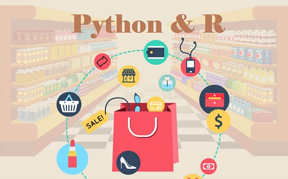 Python 和 R 营销数据分析