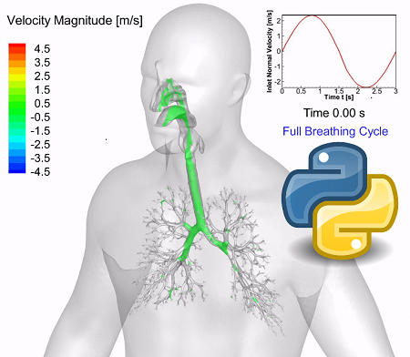 Python计算流体动力学（CFD）模拟人体呼吸系统